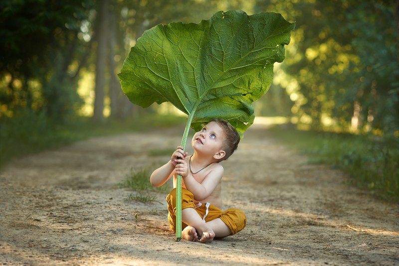 *** фото превью