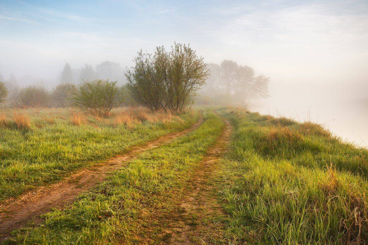 беларусь, березина, весна, вода, май, рассвет, река, туман, утро, Вейзе Максим