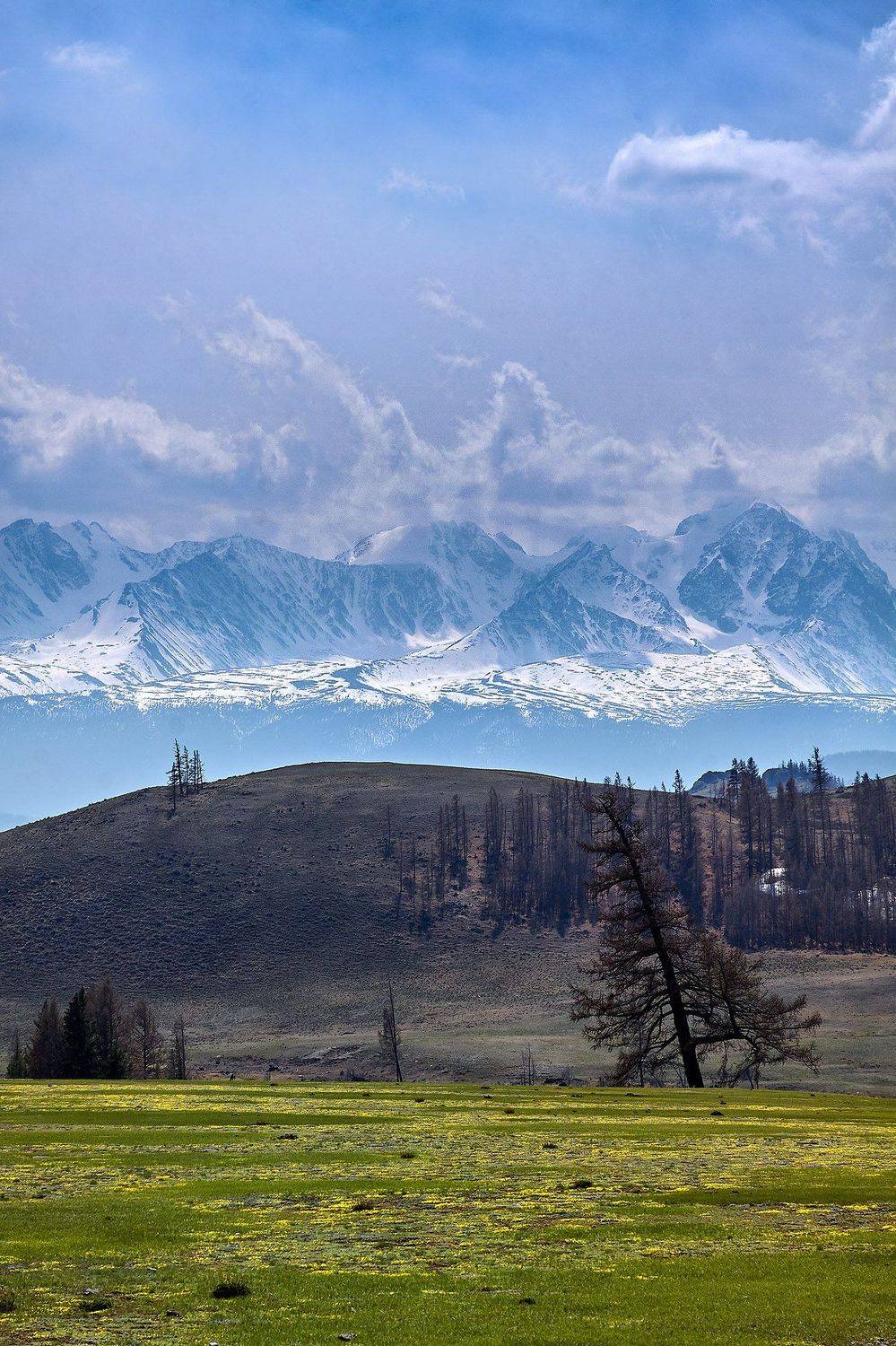 алтай, ледник актру, актру, алтайский край, долина, весна,осень, лиственницы, ледник,ледники, Качурин Алексей