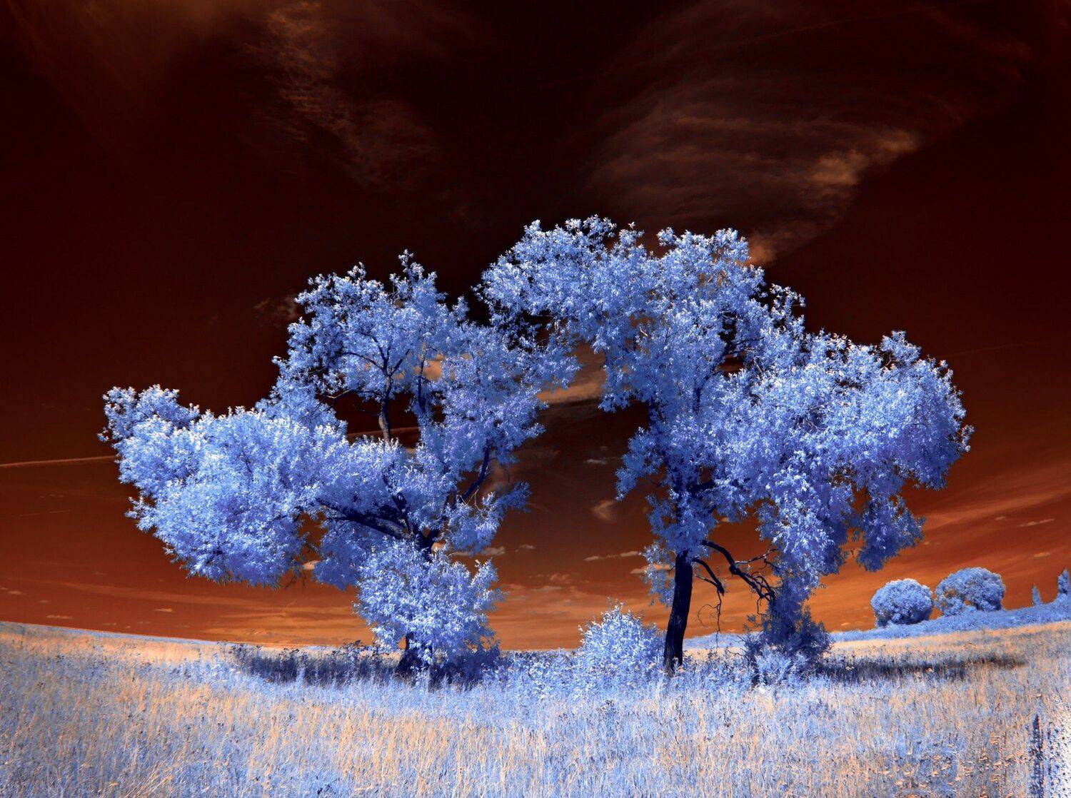 infrared,ик-фото,инфракрасное фото, инфракрасная фотография, пейзаж, лето, Sixten ( Сергей )