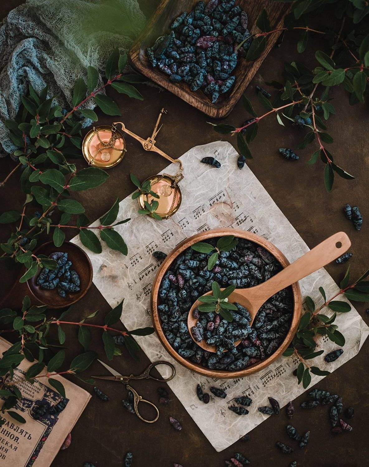 , Чернякова Анна