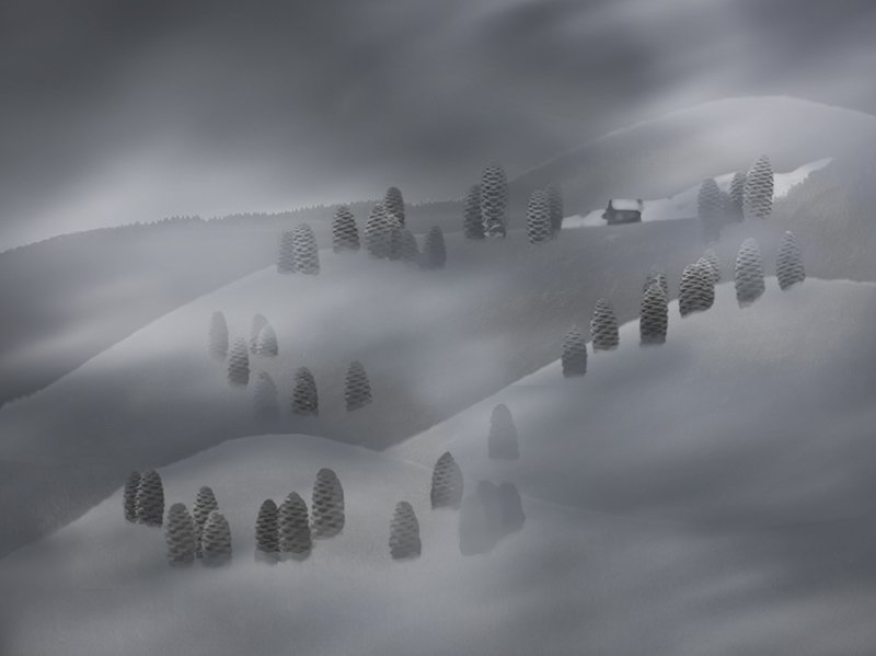 Пейзаж с шишечками фото превью