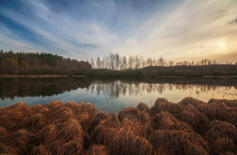 Весенняя симметрия фото превью