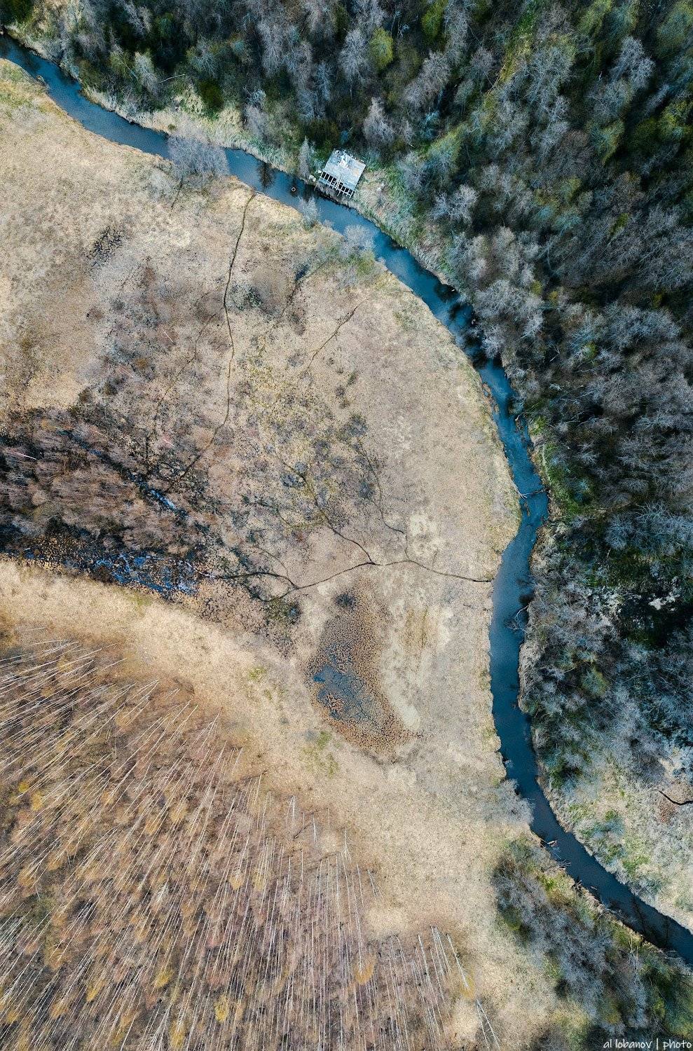 , Алексей Лобанов