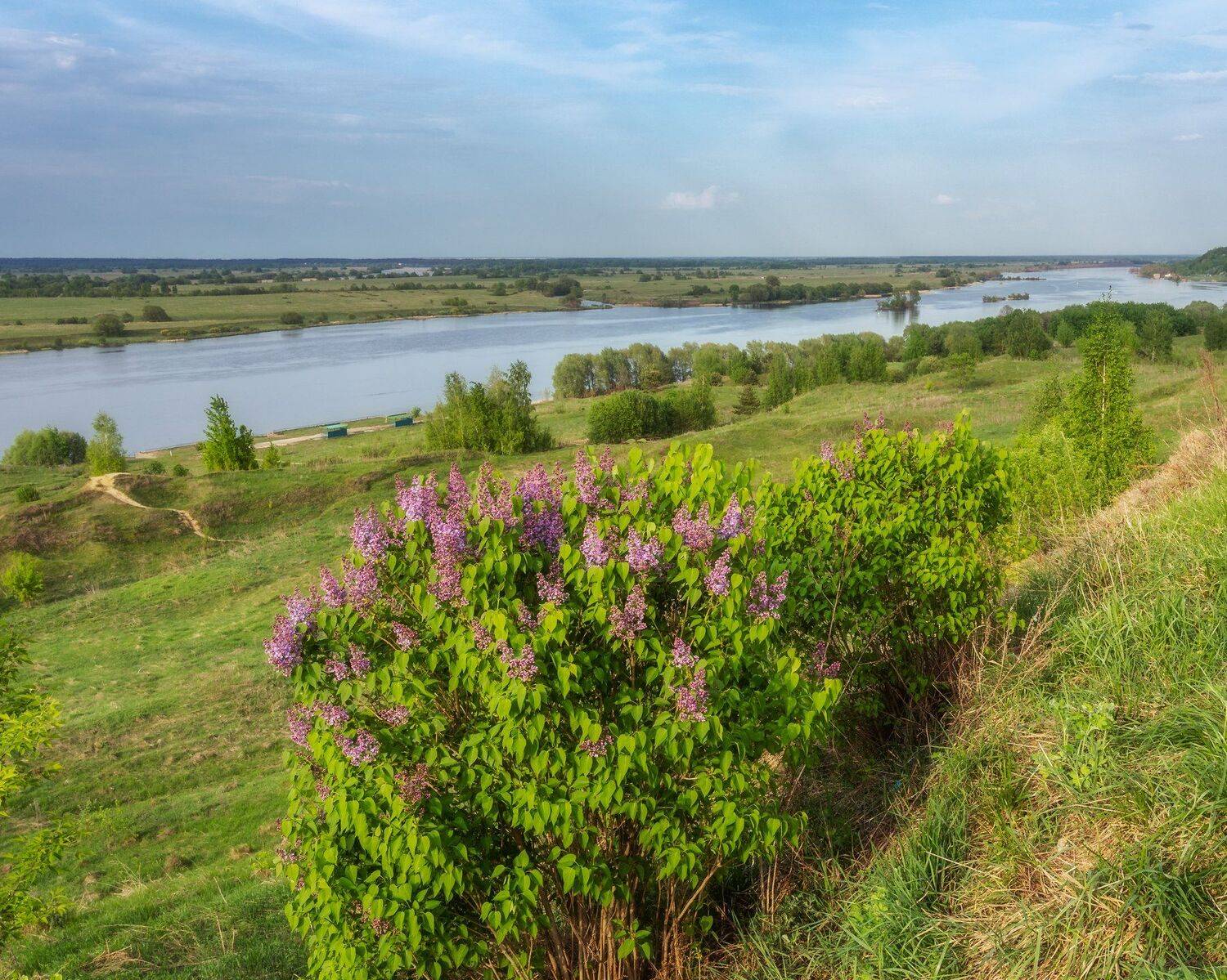 природа, пейзаж, константиново, Мартыненко Дмитрий