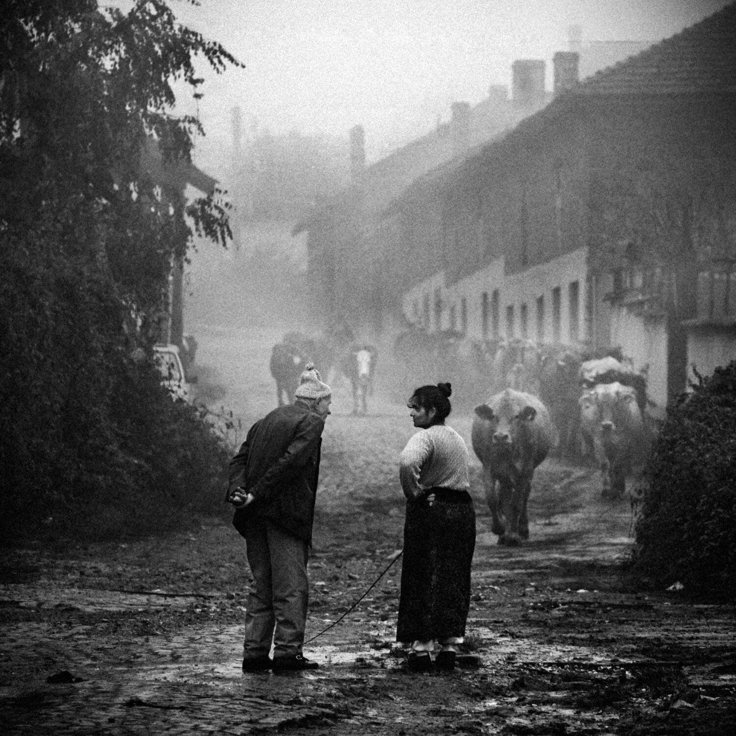 composition, bw, photoshop, street, чб, композиция, Denis Buchel (Денис Бучель)