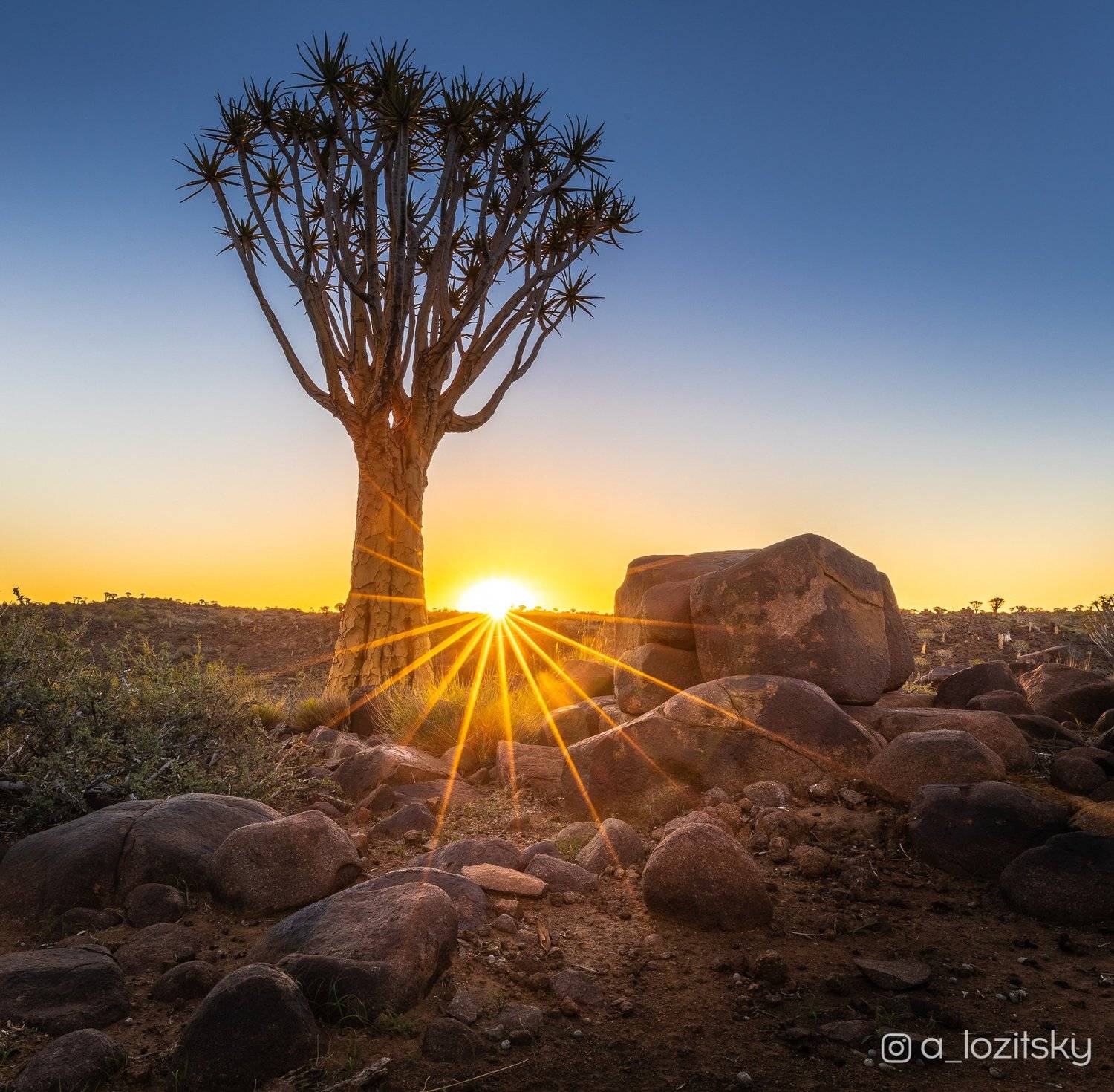 , Александр Лозицкий