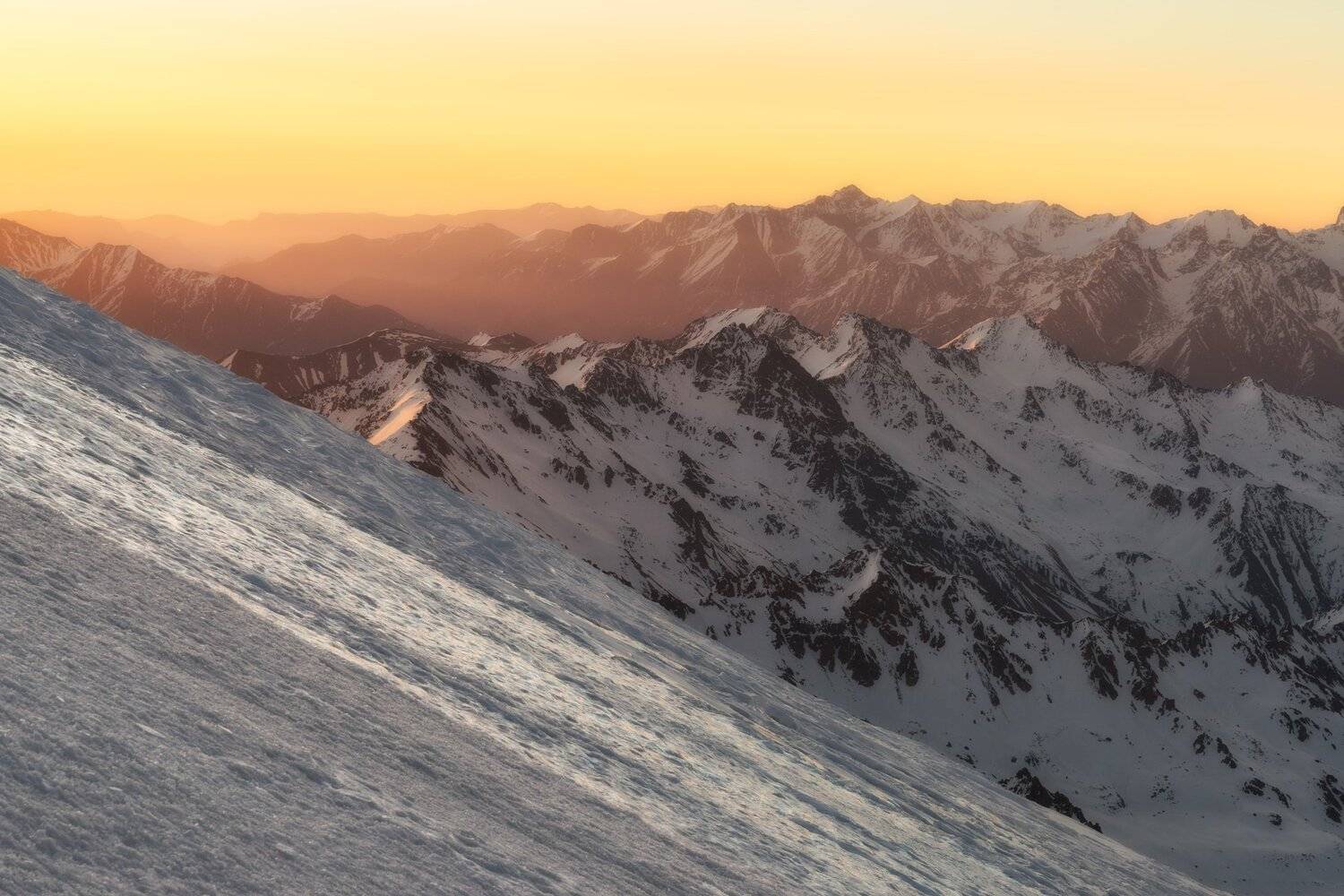 , Михаил Туркеев