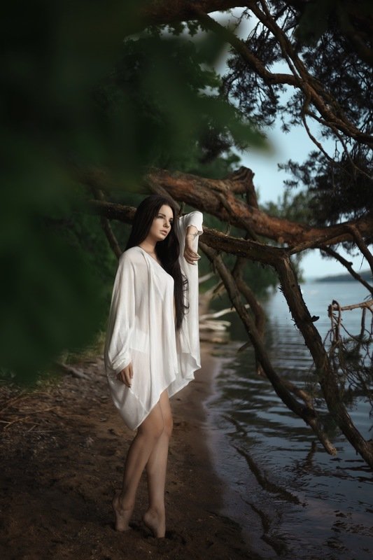 Evening фото превью