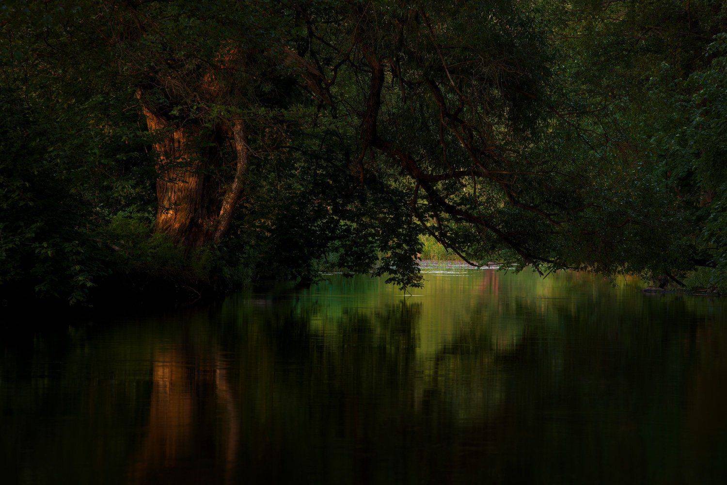 , Михаил Кушнер