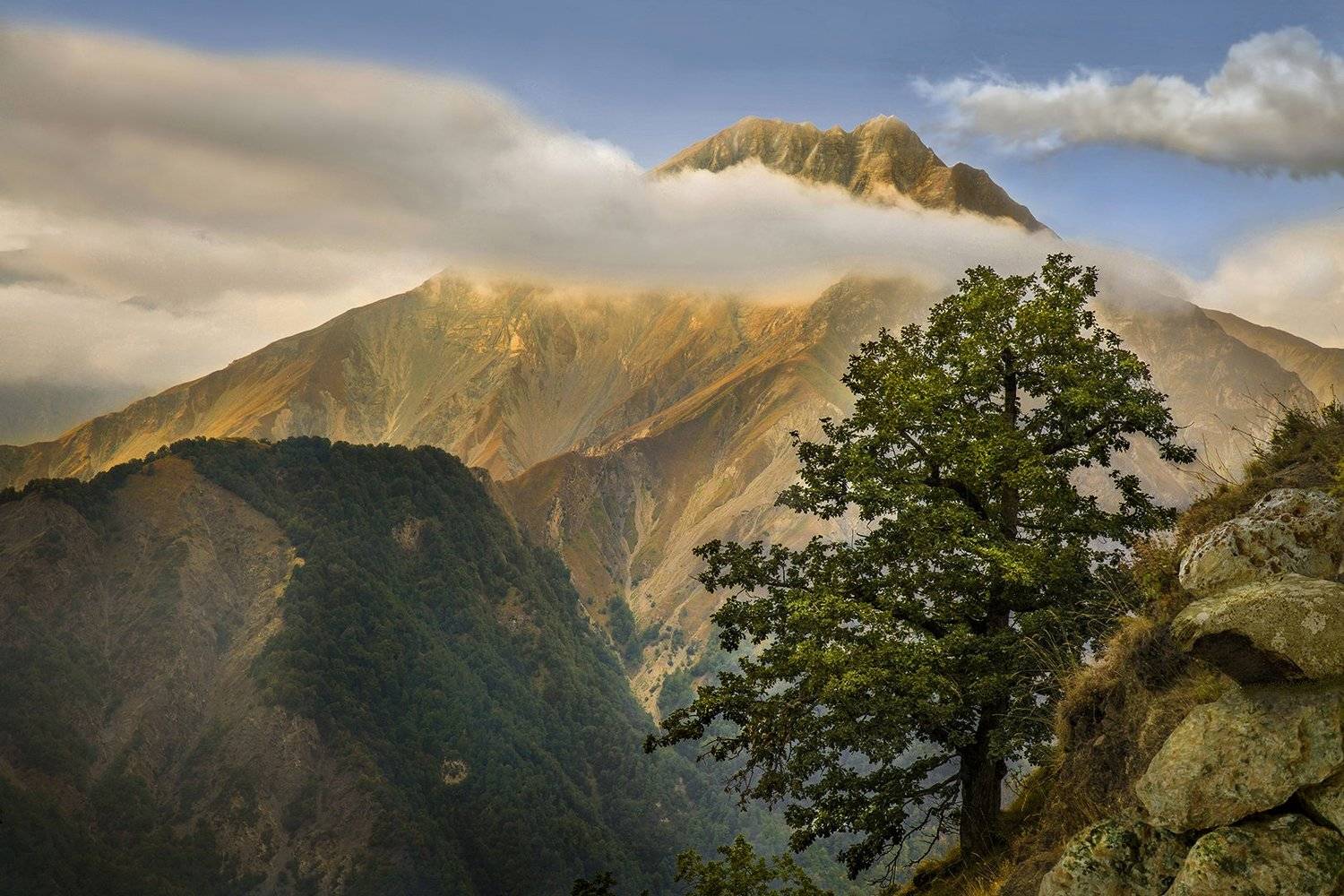 роман, Руслан Джамалов