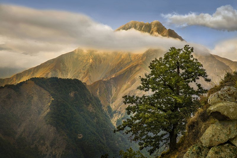 роман Архадж фото превью
