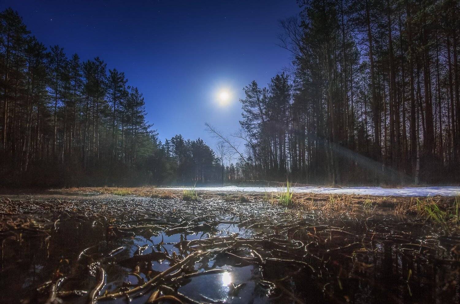 , Евгений Луцко