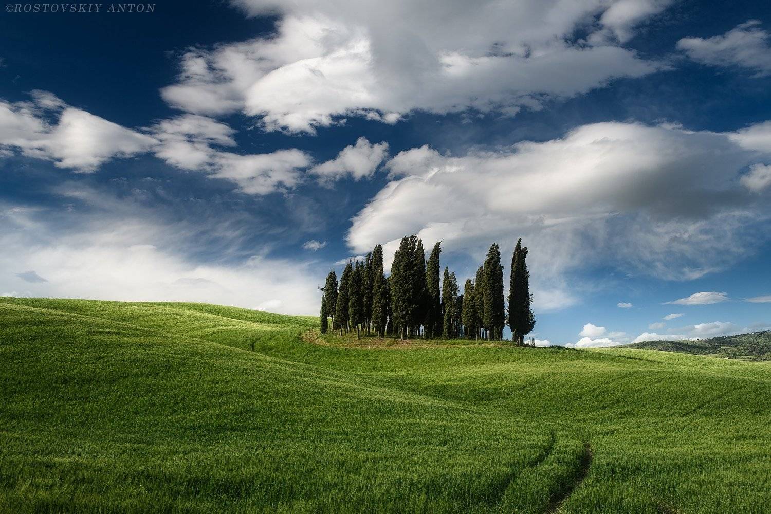 Тоскана, фототур, кипарисы, облака, Италия, зелень,, Антон Ростовский