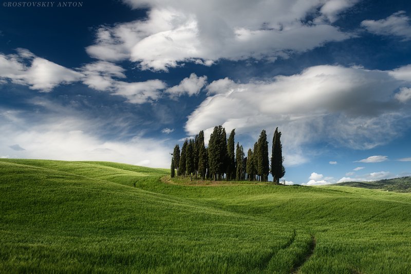 Tuscany Colors фото превью