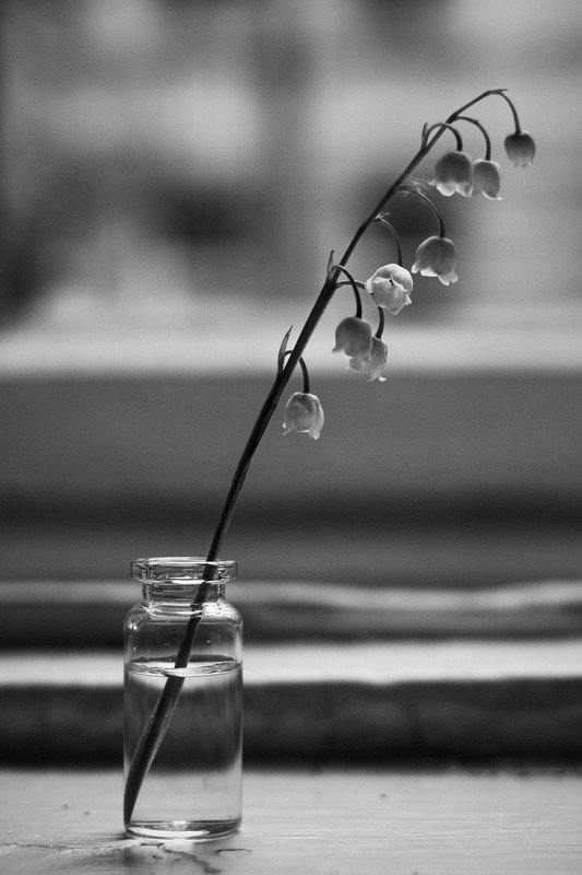 Один фото превью