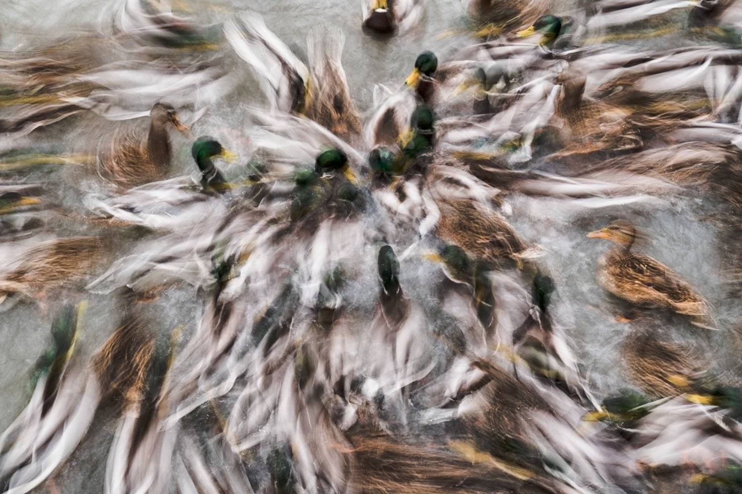 , Оксана Быстрицкая