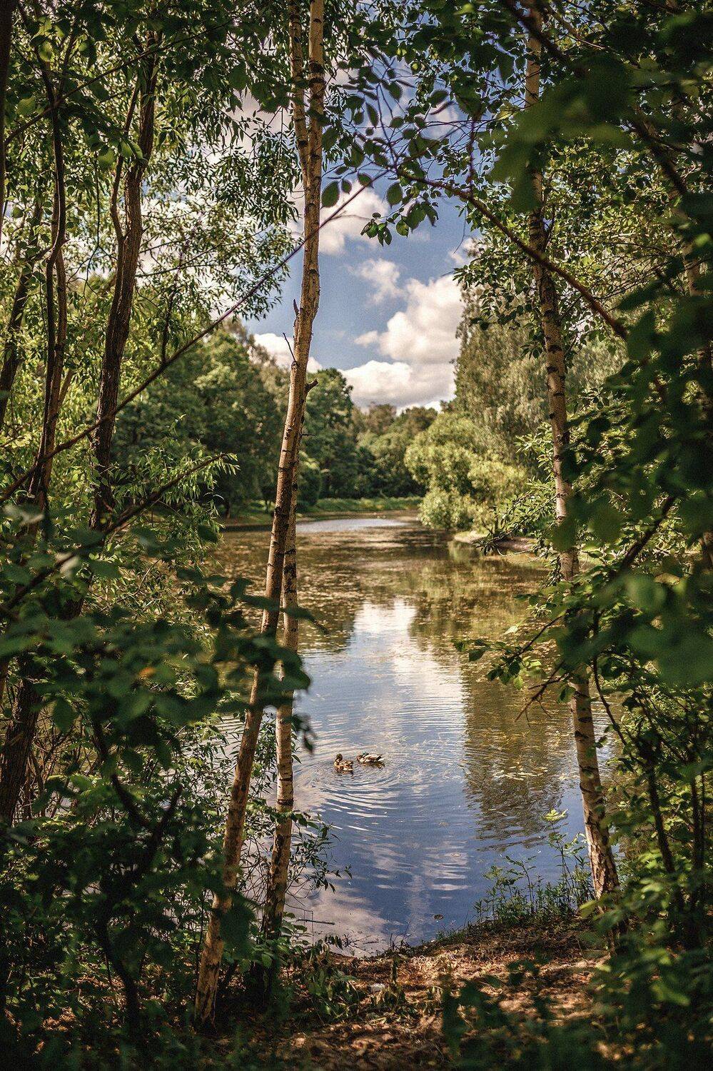 , Сергей Сатуло