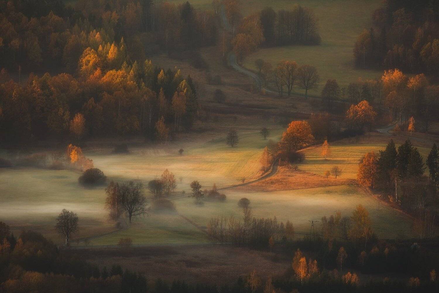 landscape,canon,mist,light,autumn, Iza i Darek Mitręga