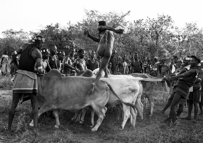 Традиции, свадьба, Эфиопия, Африка,племена Прыжковая церимония фото превью