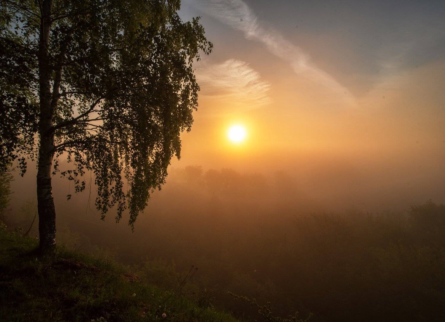 рассвет,природа,Вятка,Россия , Карепанов Евгений