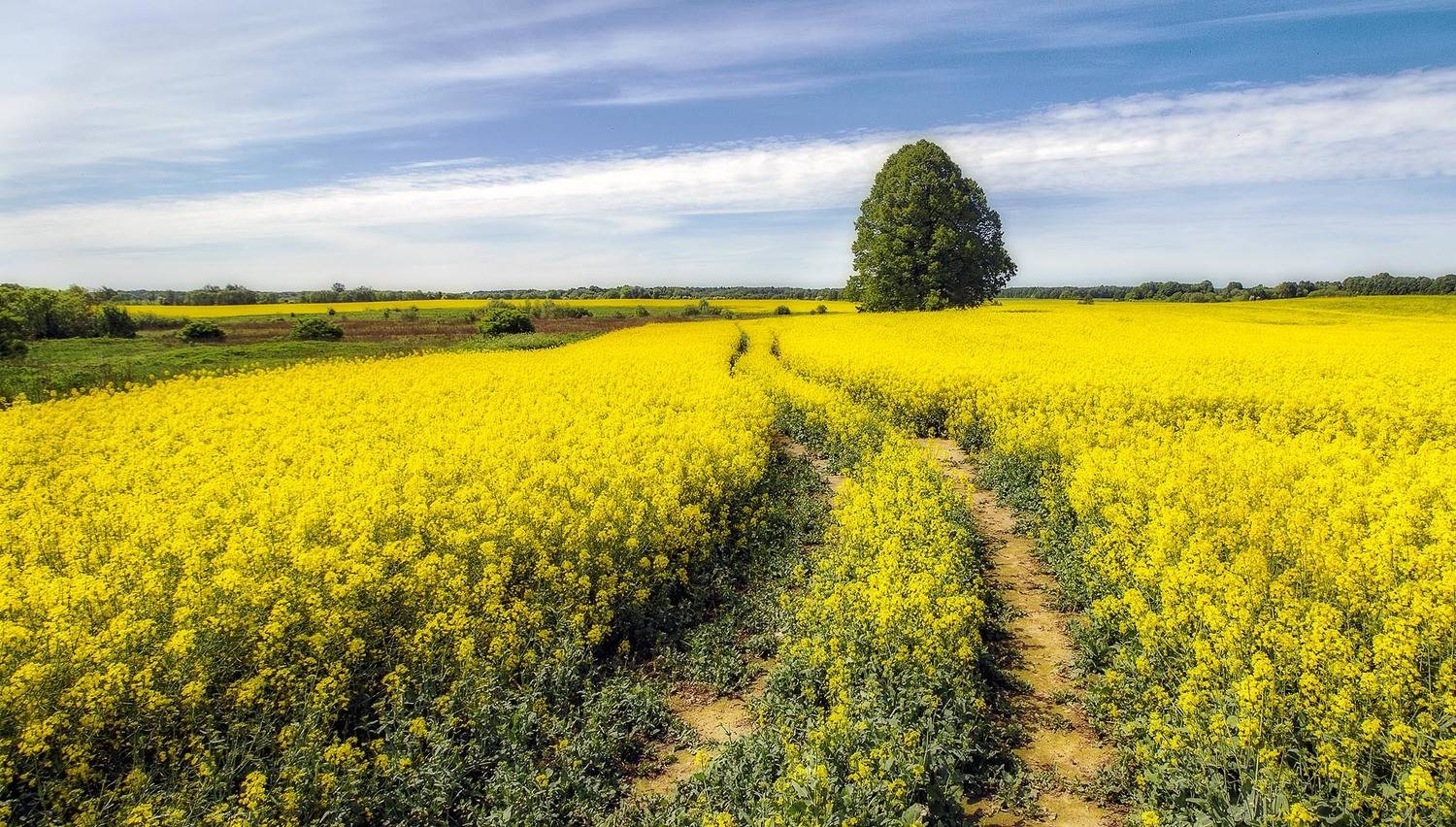 , Павел Дунюшкин
