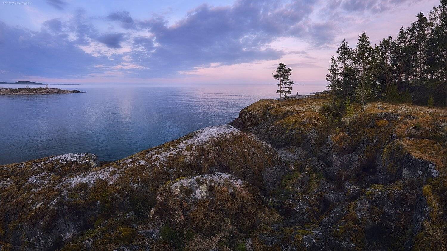 Ладога, Антон Кононов