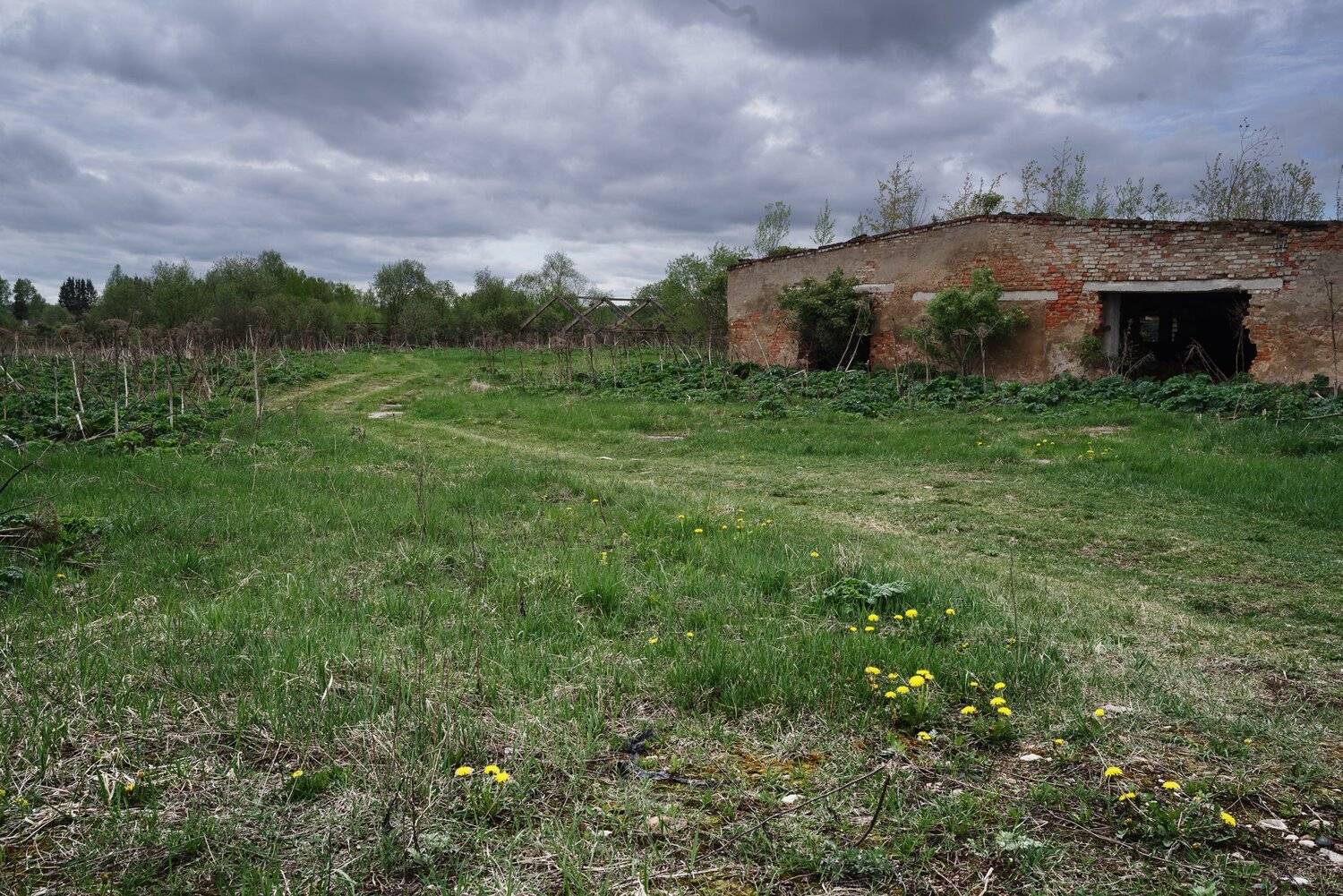 ферма, дорога, разруха, Алексей Егоров