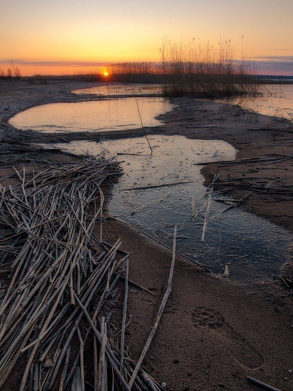 , Федотов Антон