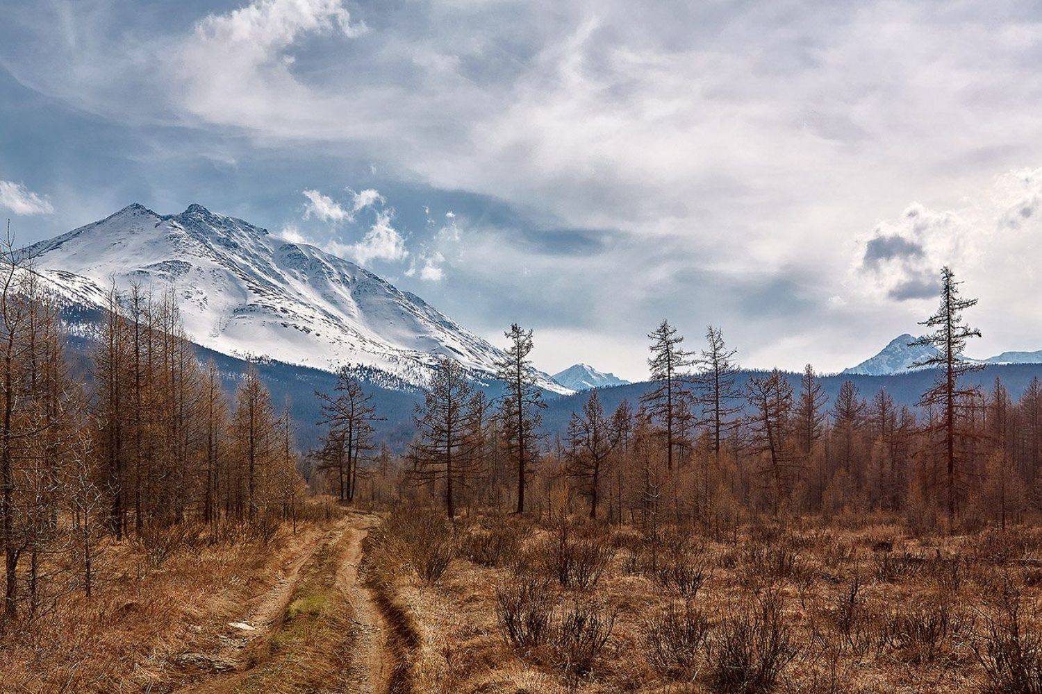алтай, ледник актру, актру, алтайский край, долина, весна,осень, лиственницы, ледник,ледники, Качурин Алексей