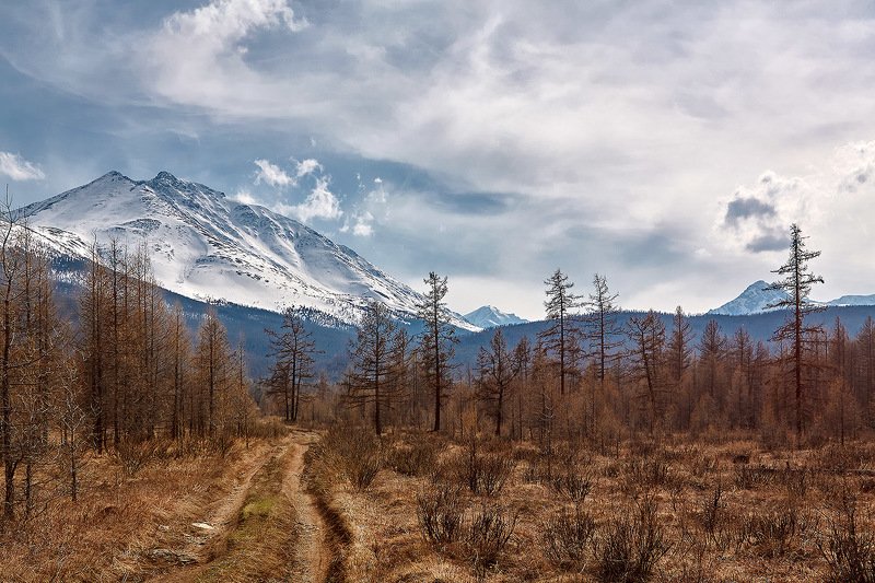 алтай, ледник актру, актру, алтайский край, долина, весна,осень, лиственницы, ледник,ледники Дорога на ледник. фото превью
