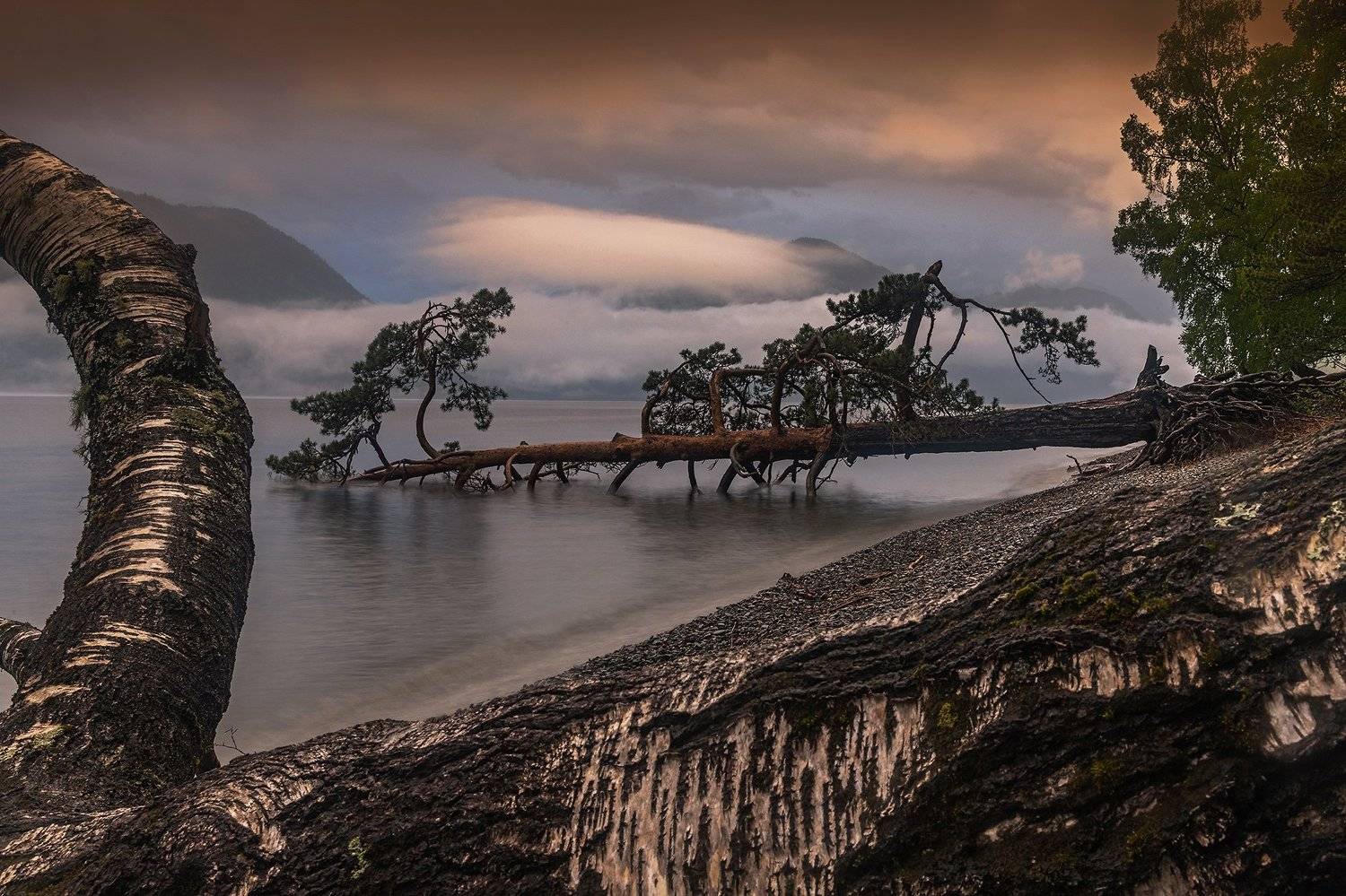 алтай, сибирь, телецкое озеро,, Павел Филатов