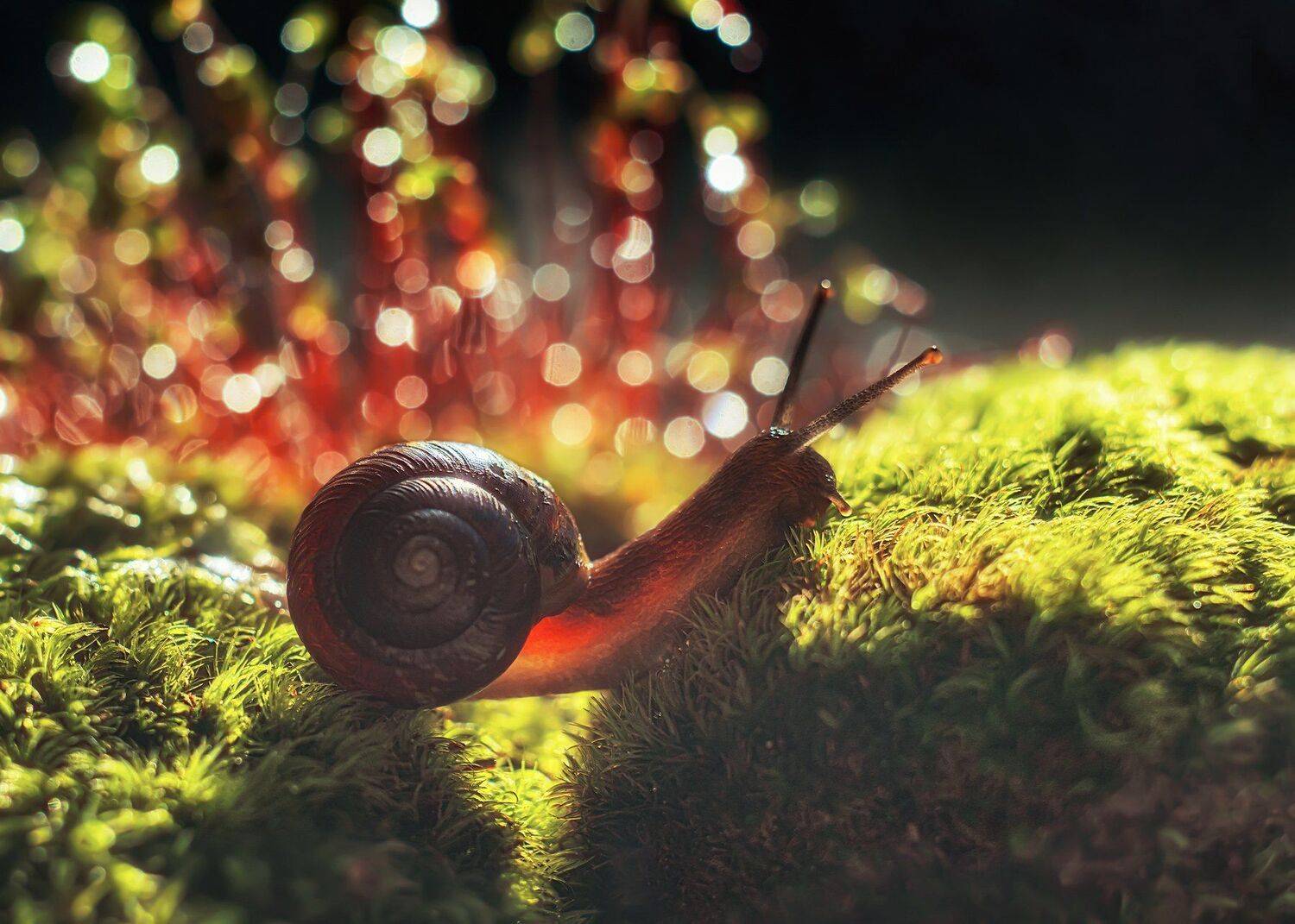 , Анастасия Третьякова