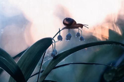 Когда солнце клонится к закату...