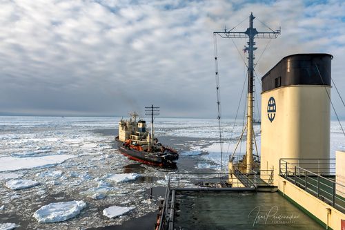 Два ледокола