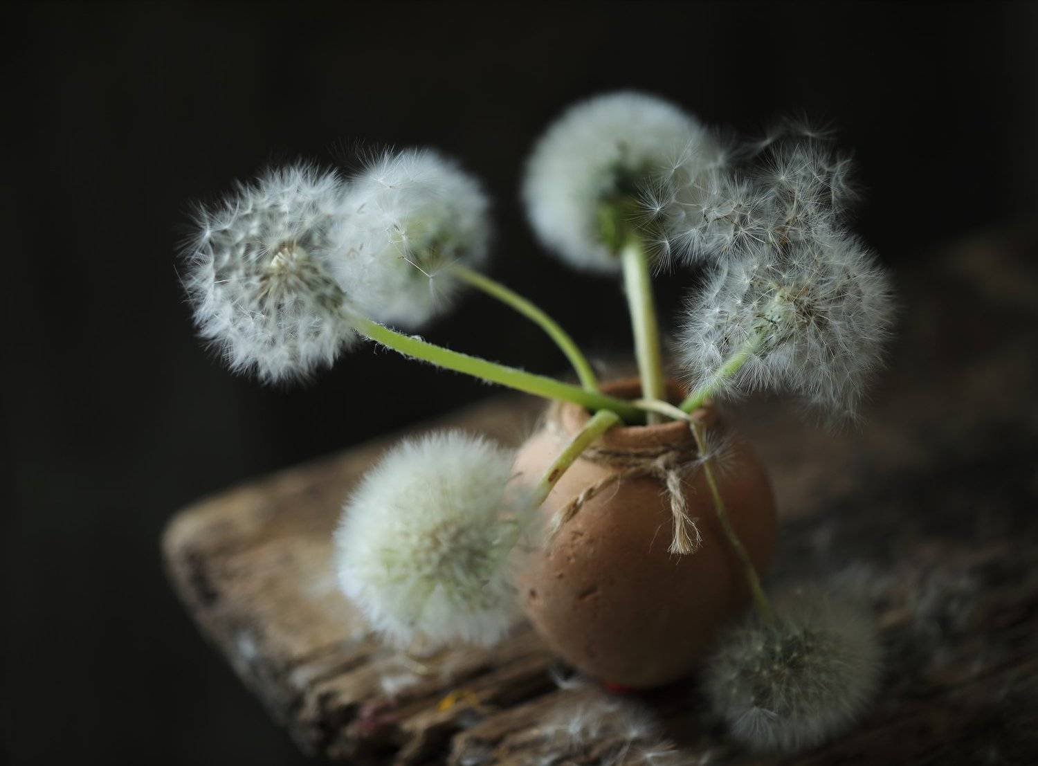 , Наталья Бочкарева