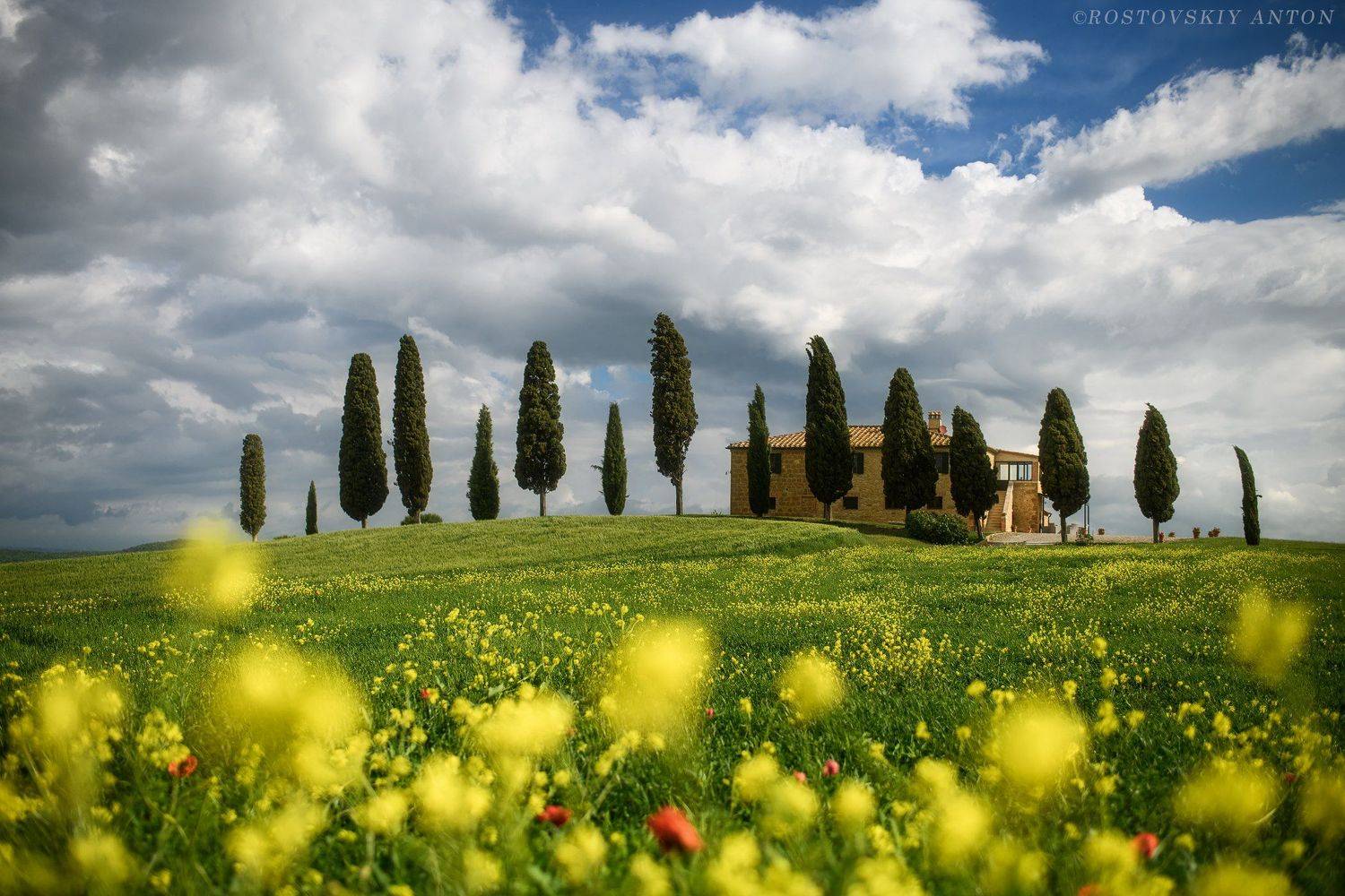 Tuscany, Italy, кипарисы, Тоскана, весна, цветы, фототур, фотопутешествие, Антон Ростовский
