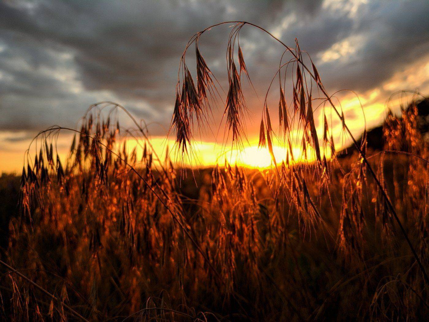 sunset,закат,пейзаж,небо,цвет,, Сергей Богачёв