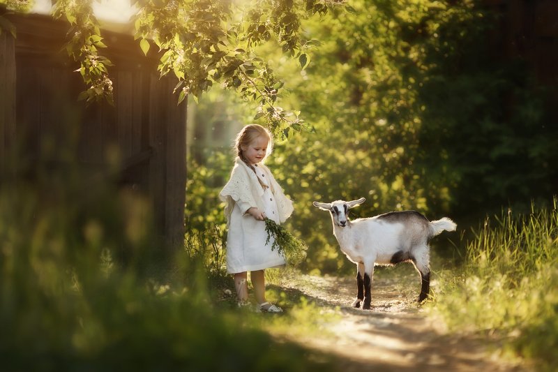 моя Марта фото превью