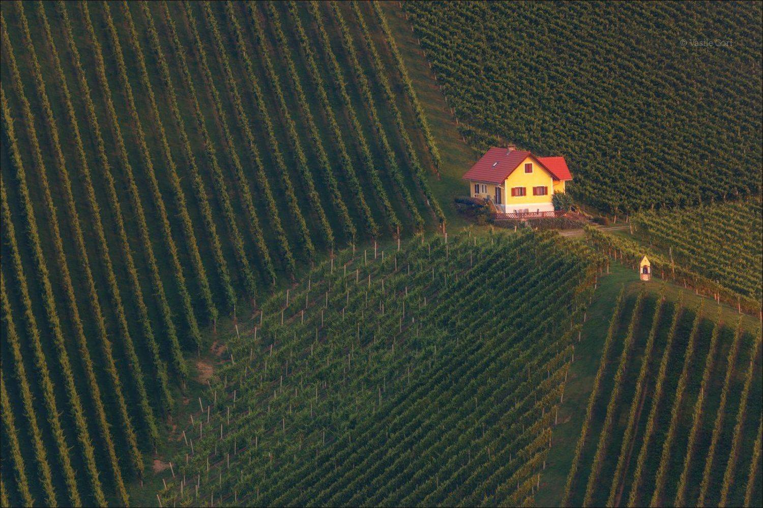 свет,&ouml;sterreich,лето,штирия,домик,австрия,виноградники,gamlitz,sernau,landscape, Василий Гори