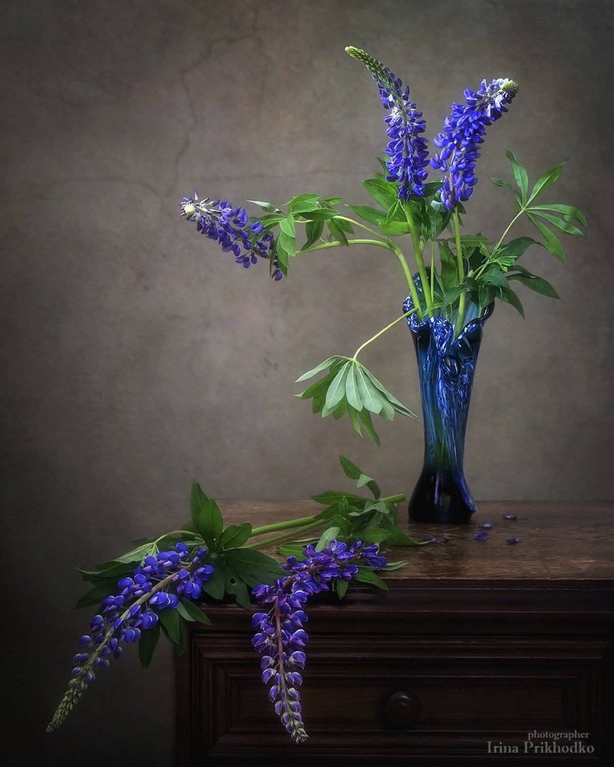 цветочный натюрморт, натюрморт, люпин, букет, Ирина Приходько