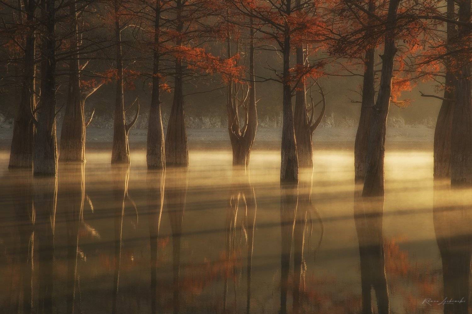 краснодар, рассвет, пейзаж, роман любимский, Роман Любимский