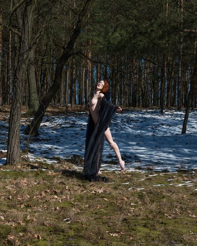 A Dream of Spring | Мечта о Bесне