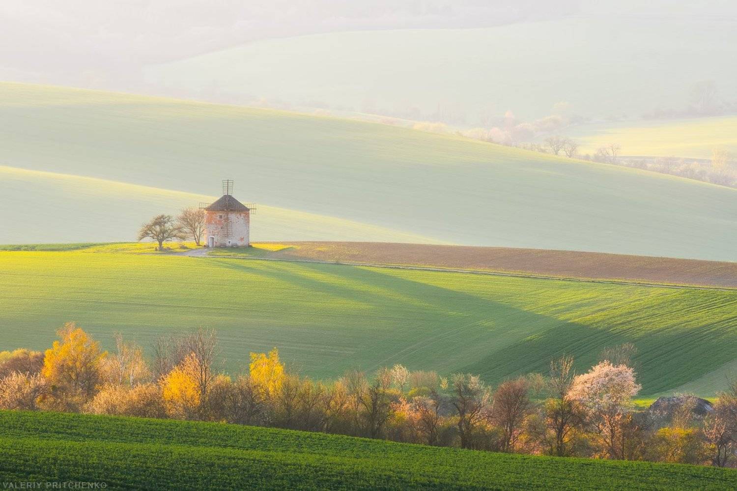 , Валерий Притченко