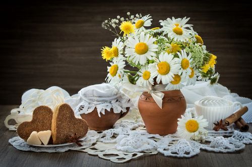 Ромашки