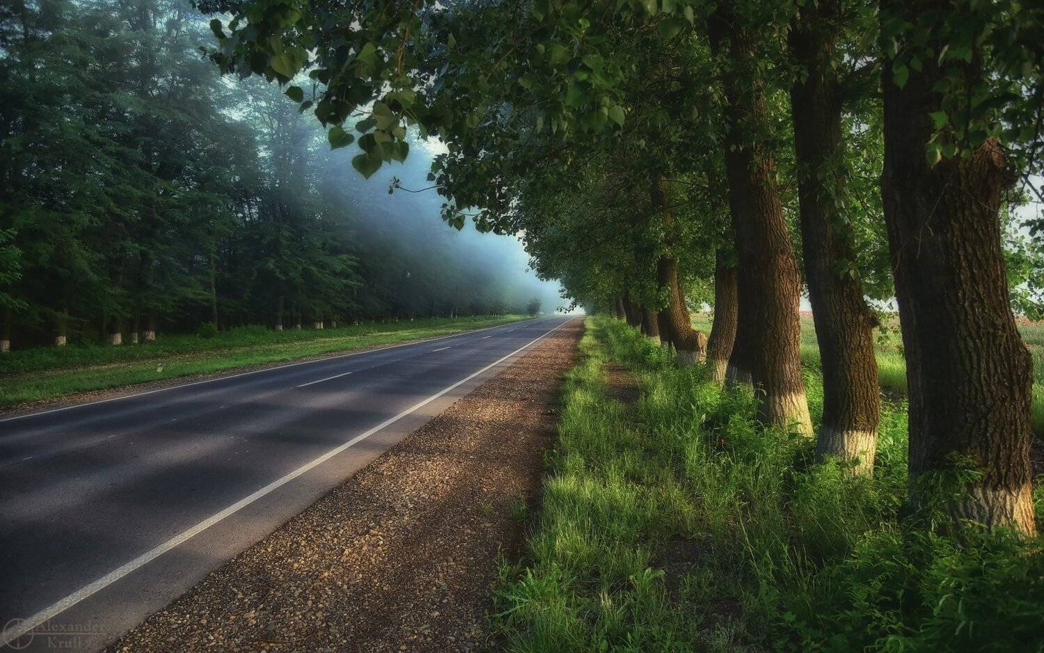 , Александр Круль