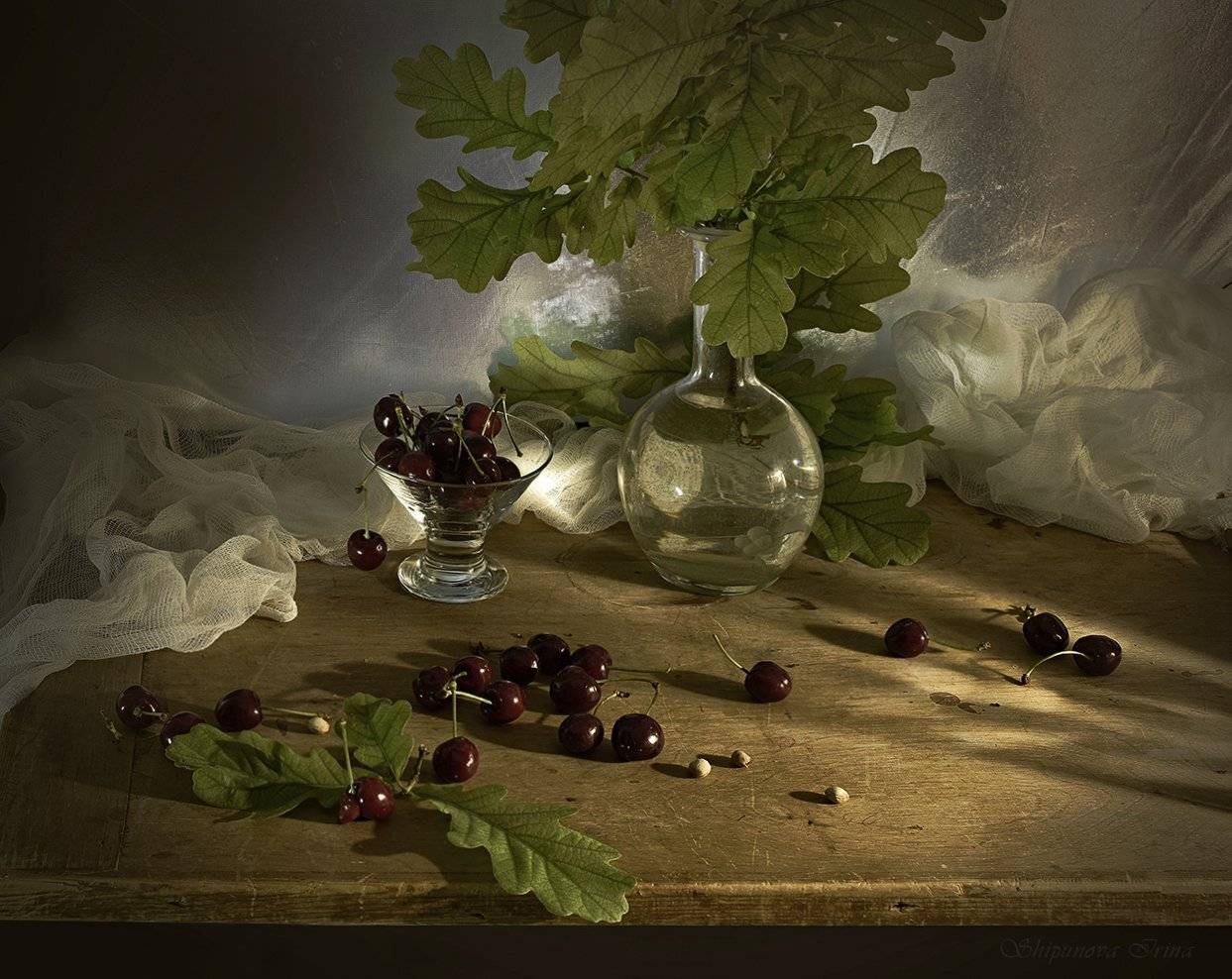 , Шипунова Ирина