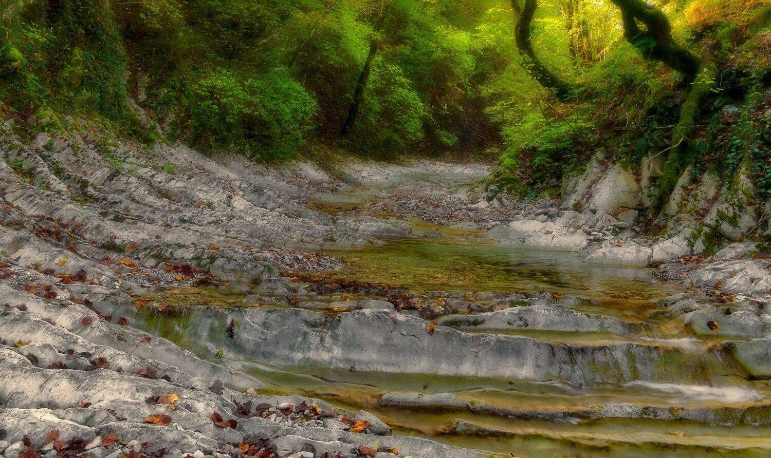 , Alexander Plekhanov