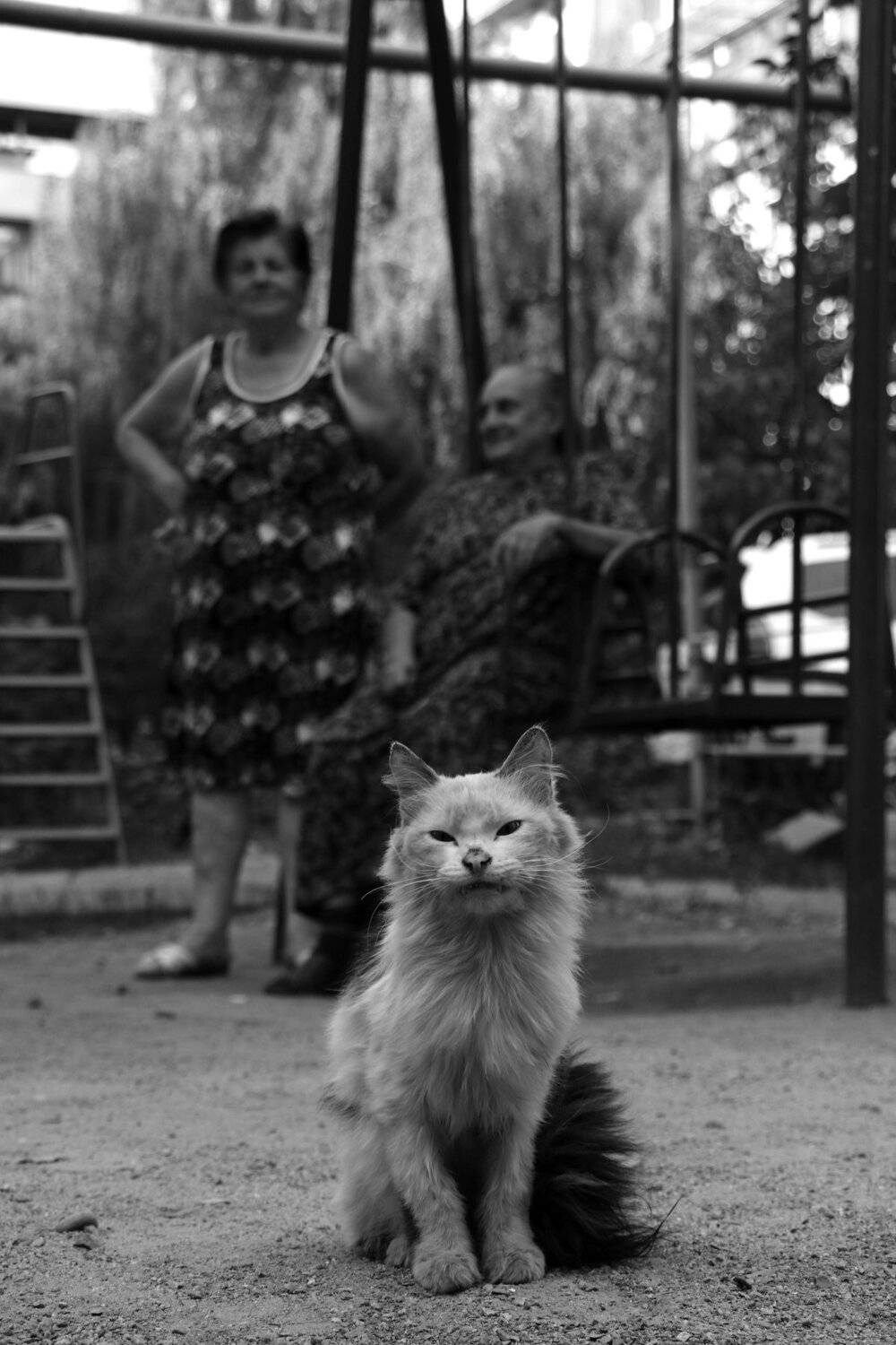 стрит, фотография, Алматы, чб, Шаварёв,, Александр Шаварёв