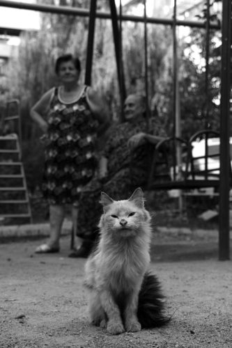 Хозяин двора.